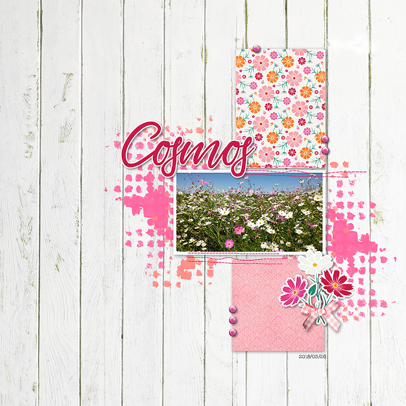 Cosmos | Kit - Image 3