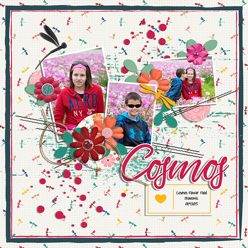 Cosmos | Kit - Image 6