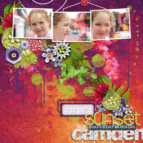 Twilight Papers - Image 4
