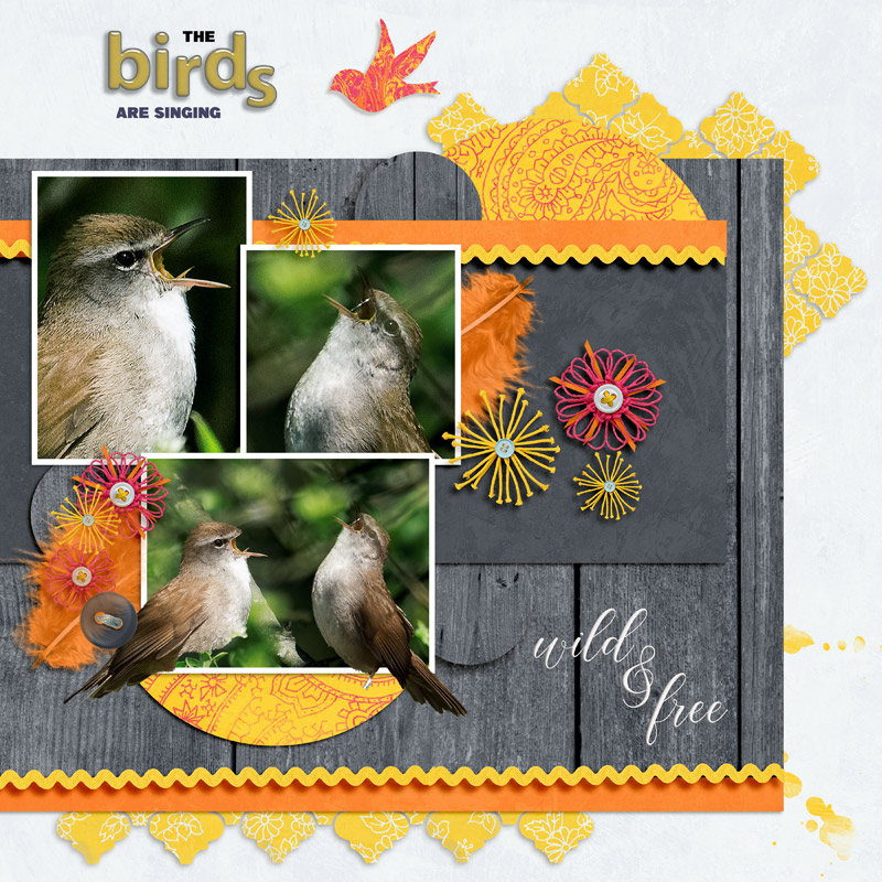 Boho Sunshine Elements - Image 8