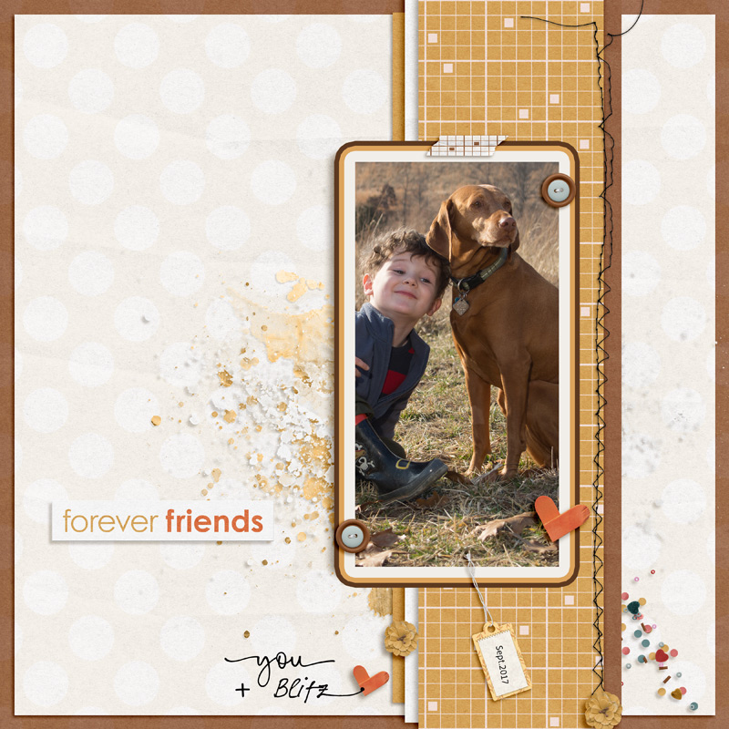 Friendship Papers - Image 4