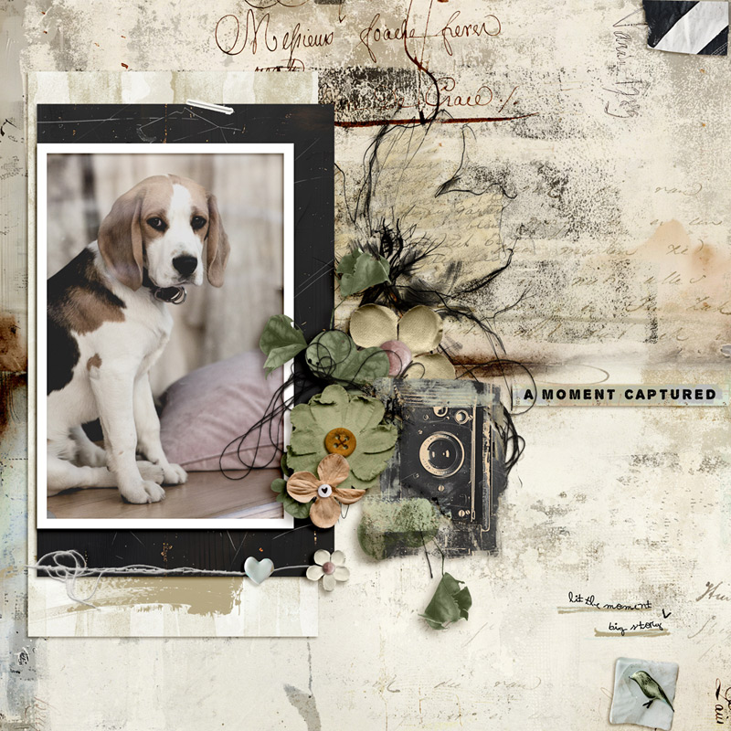 Little Things | The Complete Mixed Media Collection - Image 5