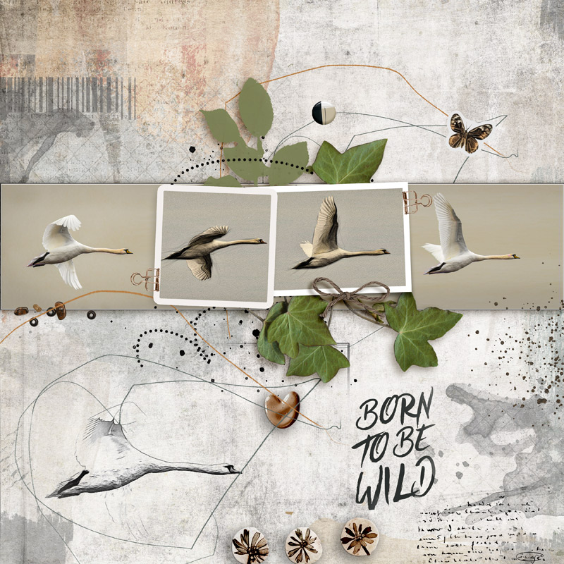 Hey Mr | Templates - Image 7