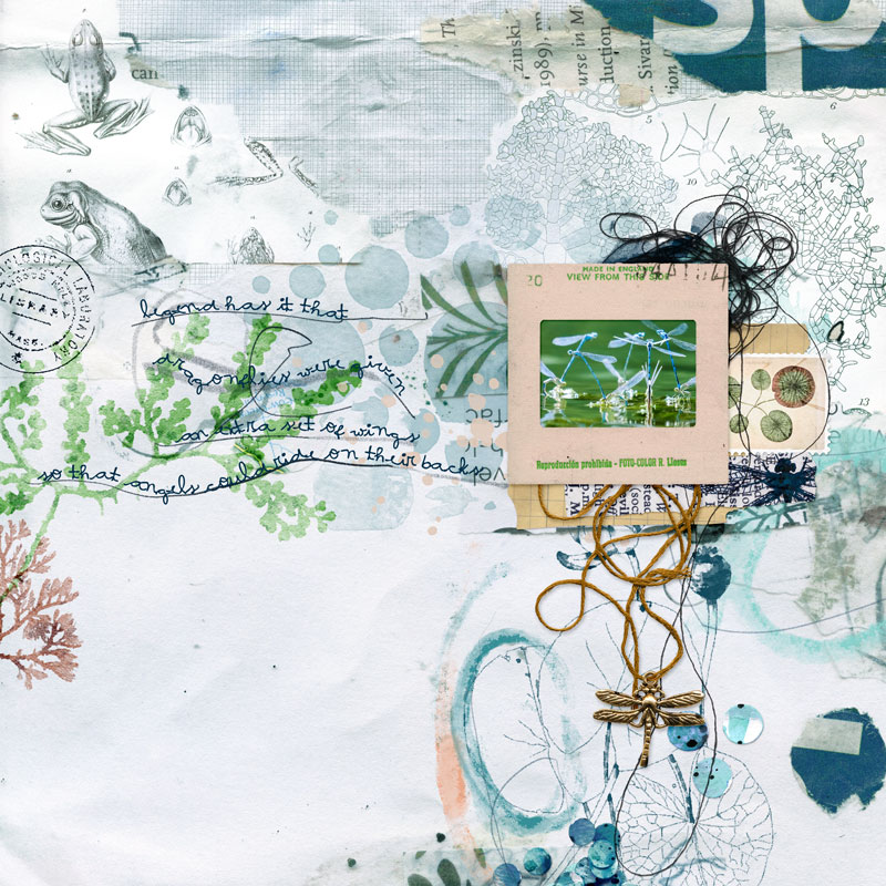 Anisoptera: Mixed Media Artistry - Image 7