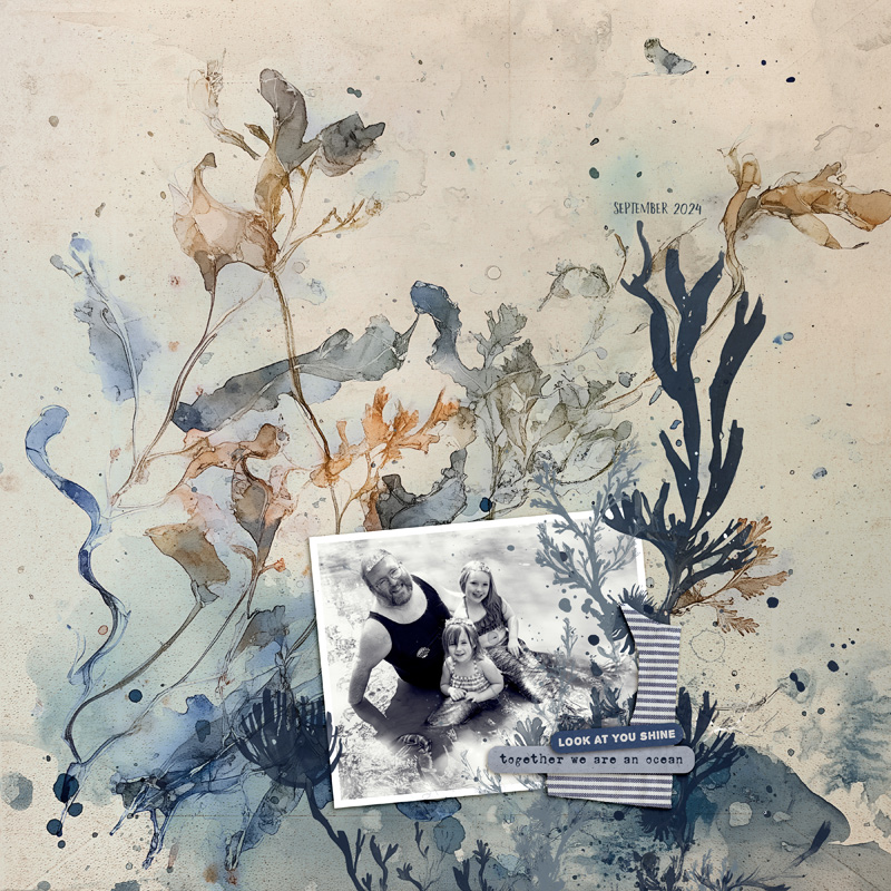 Thallus | The Complete Mixed Media Collection - Image 5
