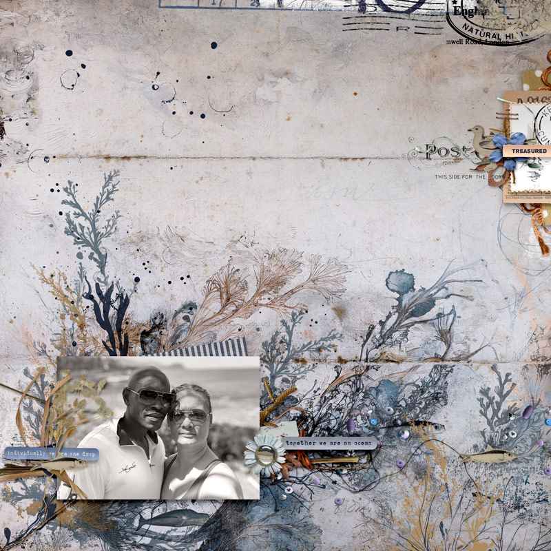 Thallus | The Complete Mixed Media Collection - Image 6
