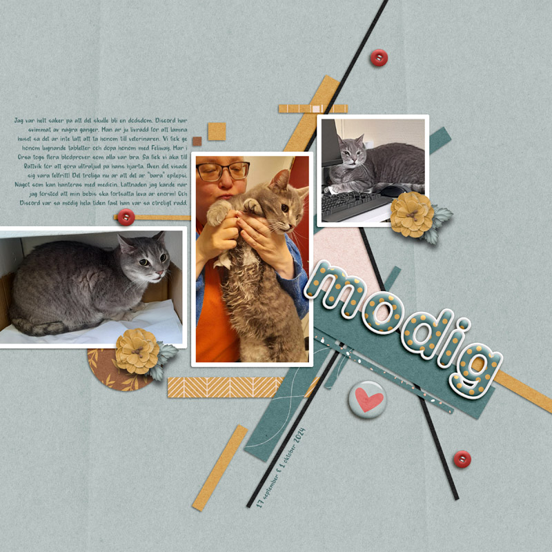 Friendship Papers - Image 6