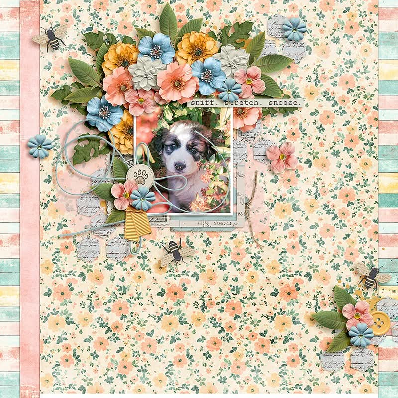 Petal & Pawprints | Bundle by Joyce Paul - Image 2