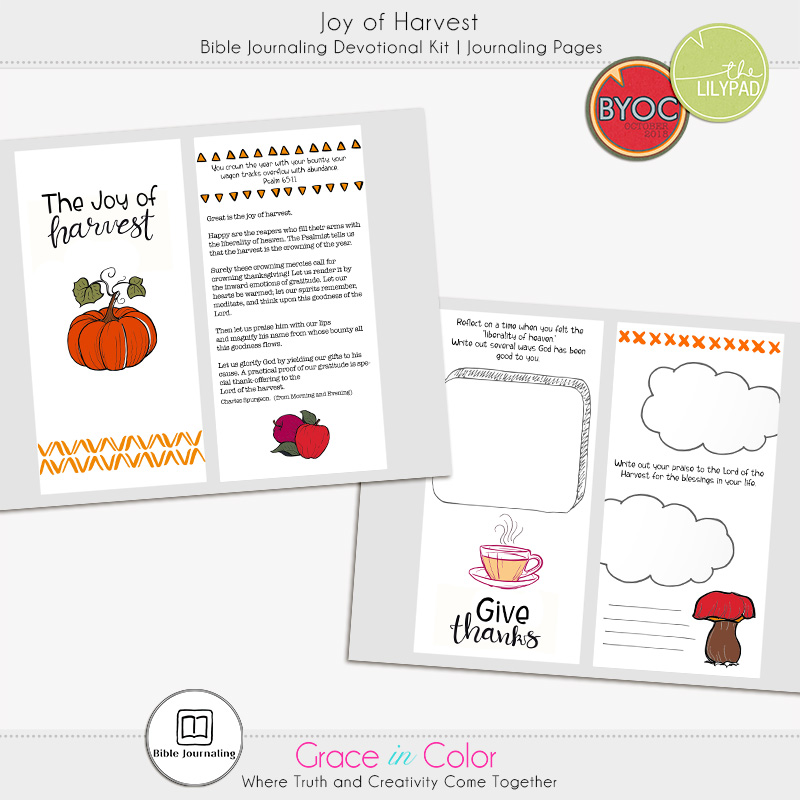 Joy of Harvest - Image 2