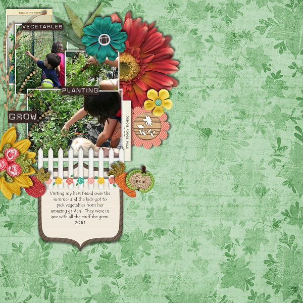 Garden Seeds - Image 10