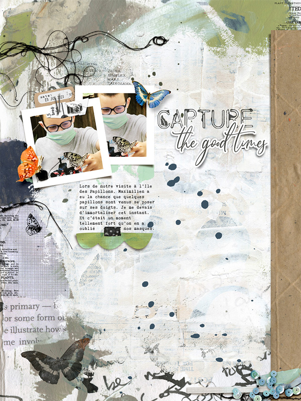 Step By Step: Butterflies - Image 7