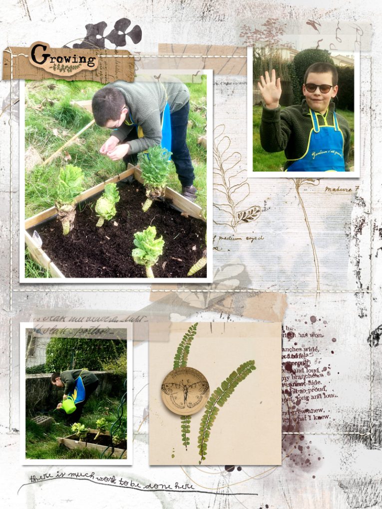 Hear My Voice: 11 - Growing | Digital Scrapbooking Kit - Image 8