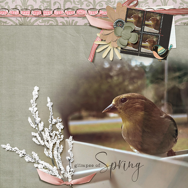 Fresh Breeze - Image 5
