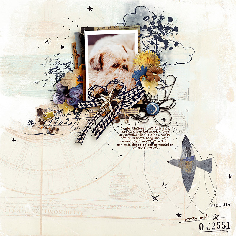 Hear My Voice: 24 - Dreaming | Digital Scrapbooking Pocket Cards - Image 4
