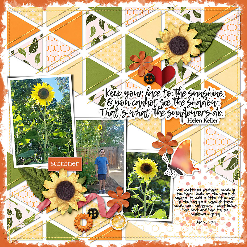 Himawari {Sunflower} | Solids - Image 3