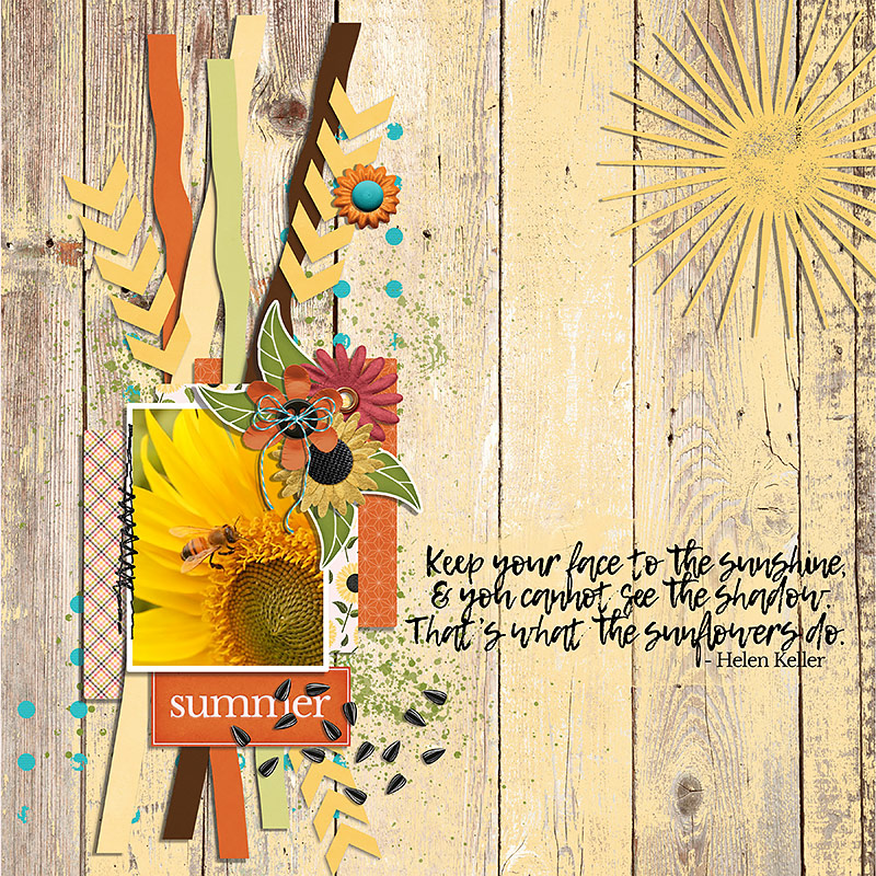 Himawari {Sunflower} | Solids - Image 4