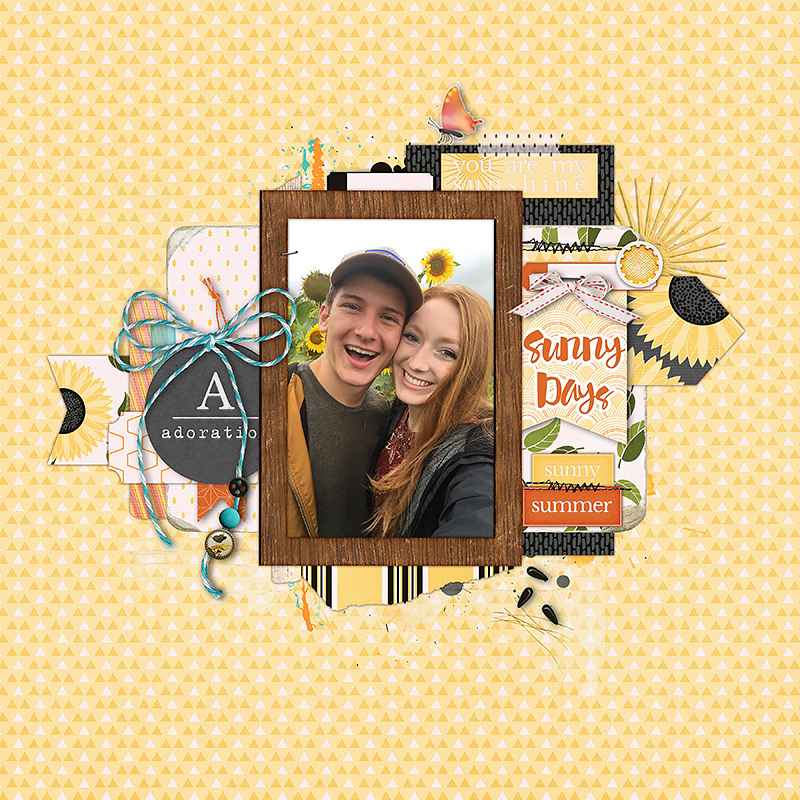 Himawari {Sunflower} | Pocket Cards - Image 3