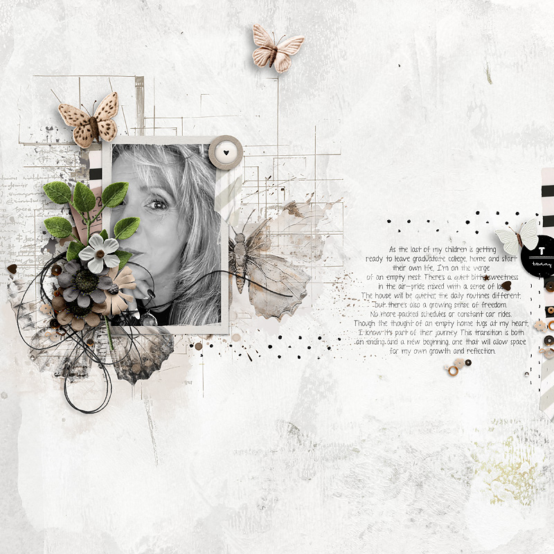 Foundation | Butterflies - Image 9