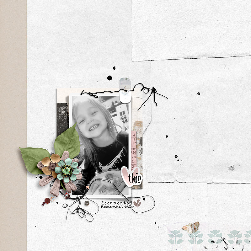 Phlox: Basic Backgrounds - Image 3
