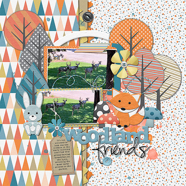 Woodland Friends Bundle - Image 12