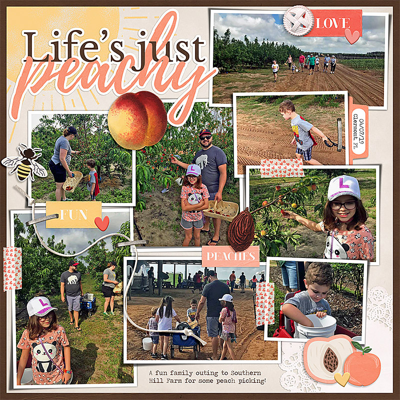 Just Peachy | Kit - Image 4