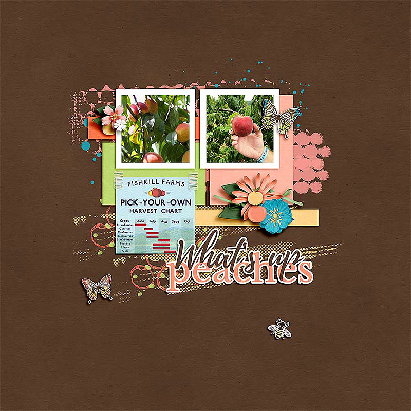 Just Peachy | Kit - Image 5