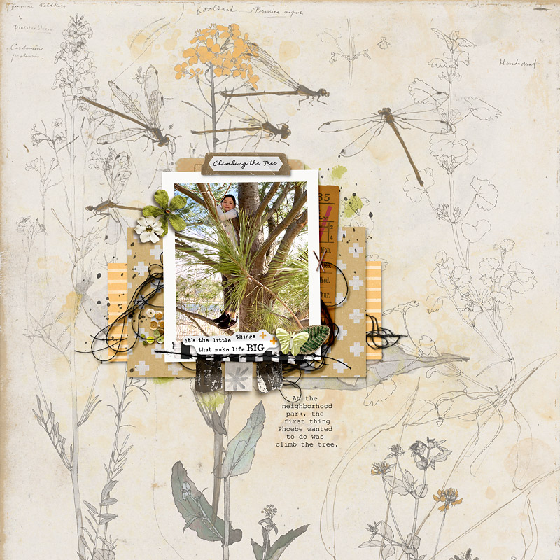 Lilliputian | Misc Mixed Media Paperie - Image 5
