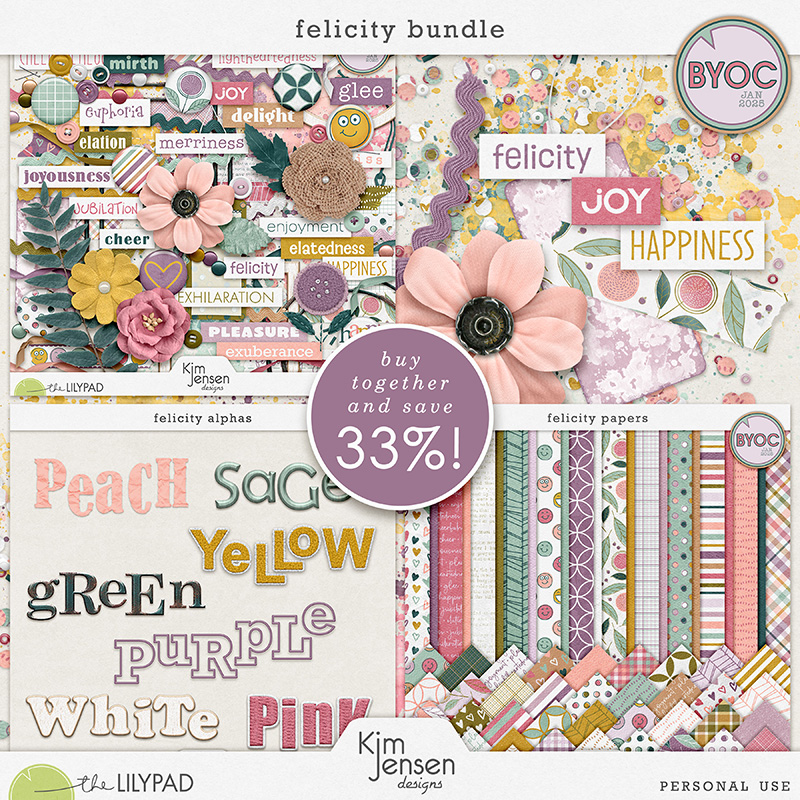 Felicity Bundle