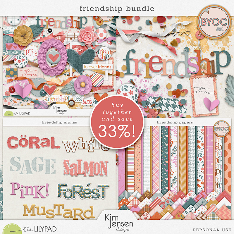 Friendship Bundle