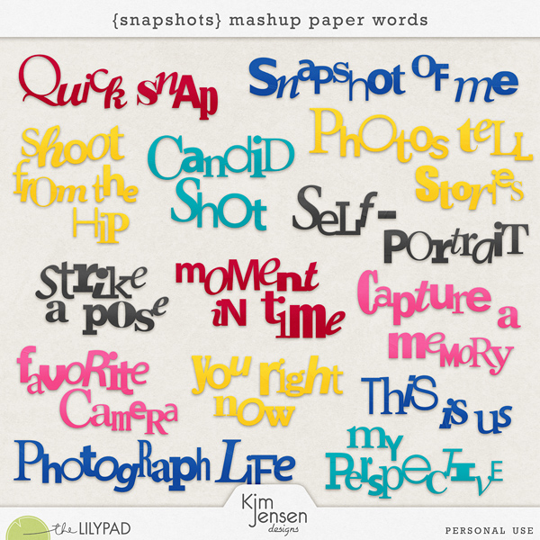 Snapshots Mashup Paper Words