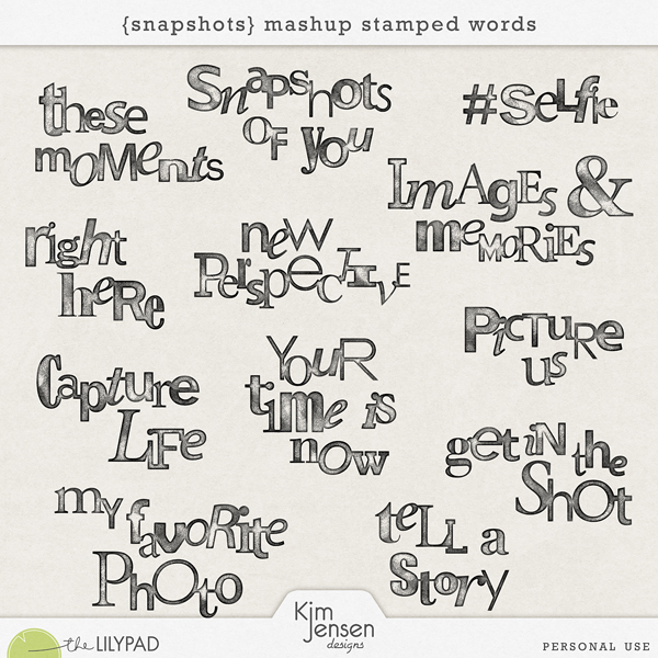 Snapshots Mashup Stamped Words