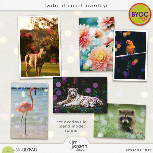 Twilight Bokeh Overlays