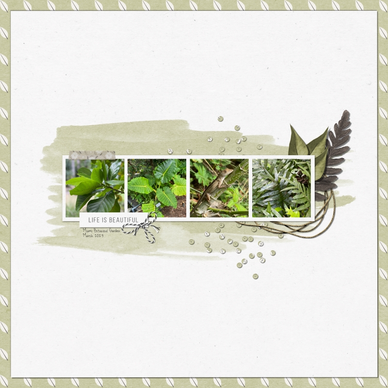 Mi Vida | Templates - Image 3
