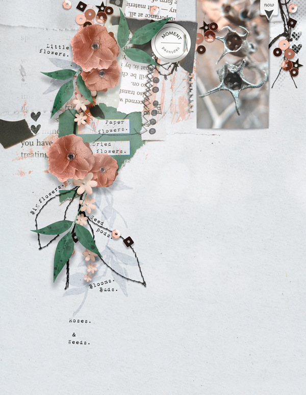 Birds Of A Feather Elements - Image 3