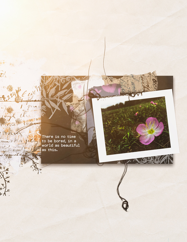Stay Close: Pocket Art - Image 4