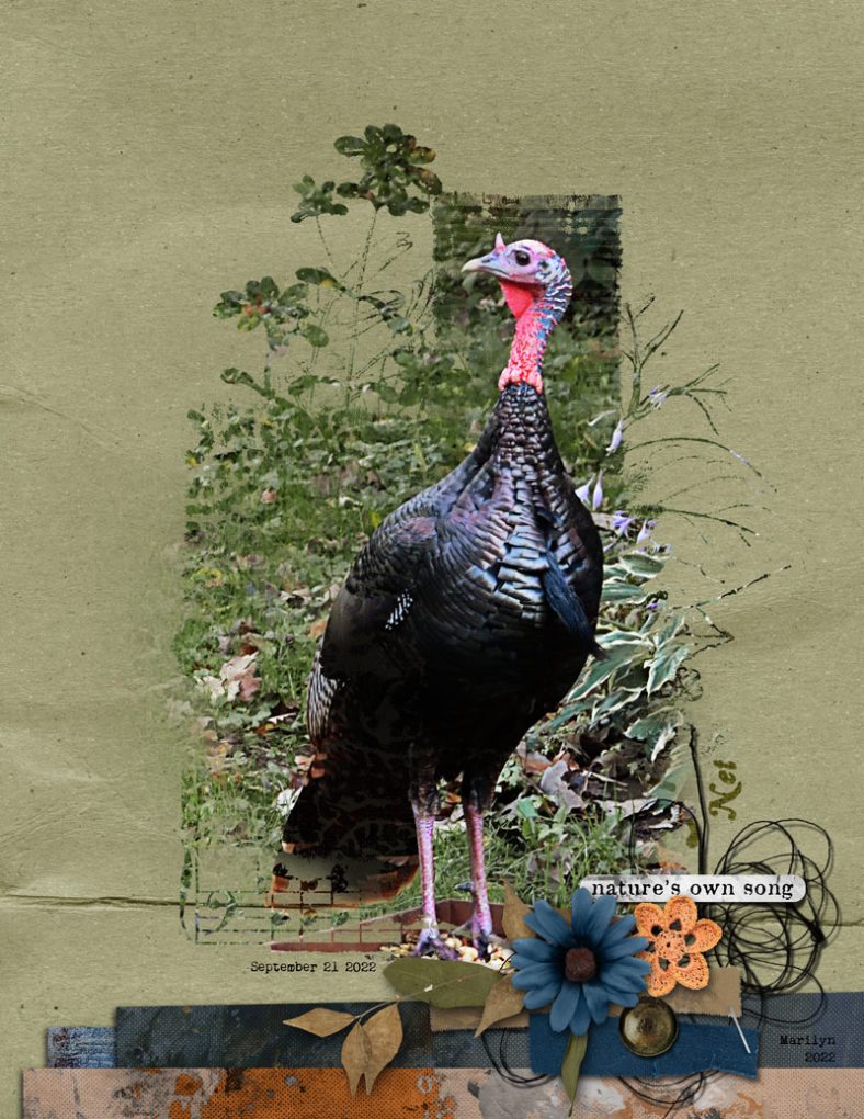 Music of the Earth: The Pace of Nature | Misc Mixed Media - Image 8