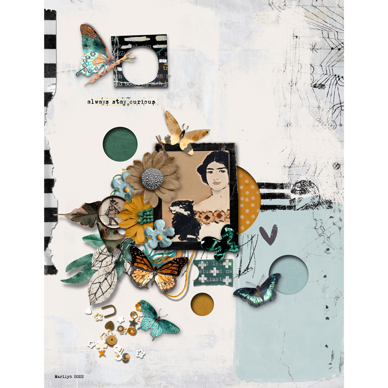 Stay Curious: Pocket Art Cards - Image 3