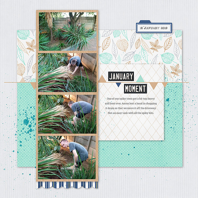 Memorable Moments - January | Kit - Image 2