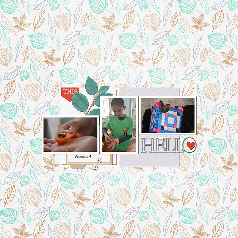 Memorable Moments - January | Pocket Cards - Image 4