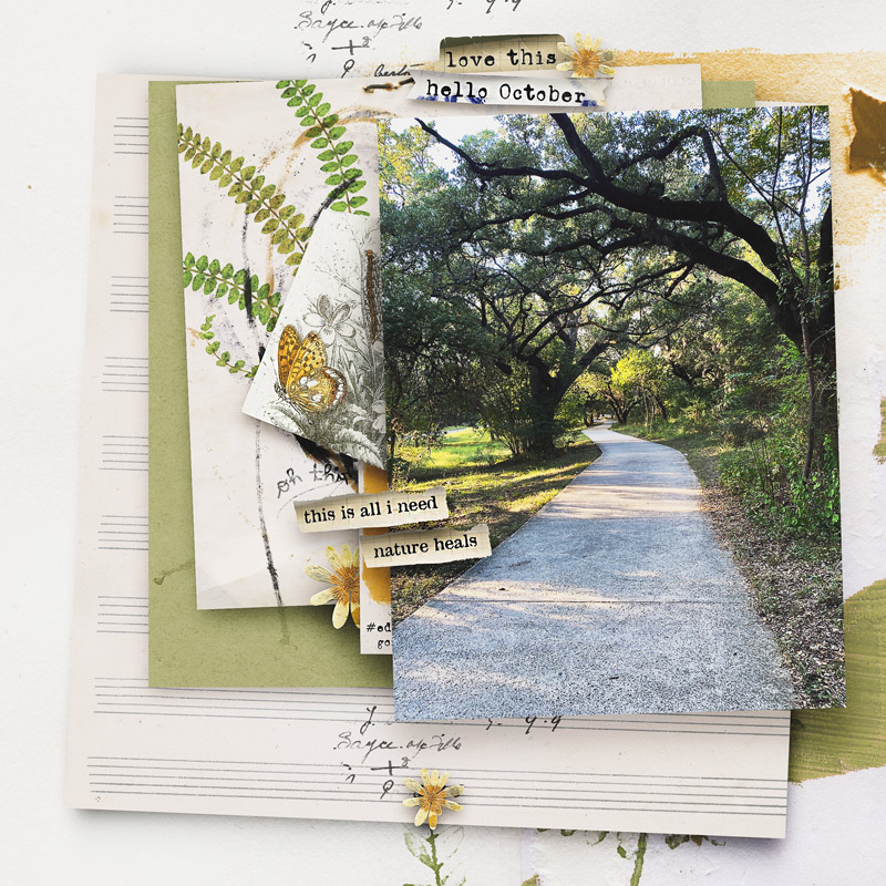 Heathland: Aged Paperie - Image 4