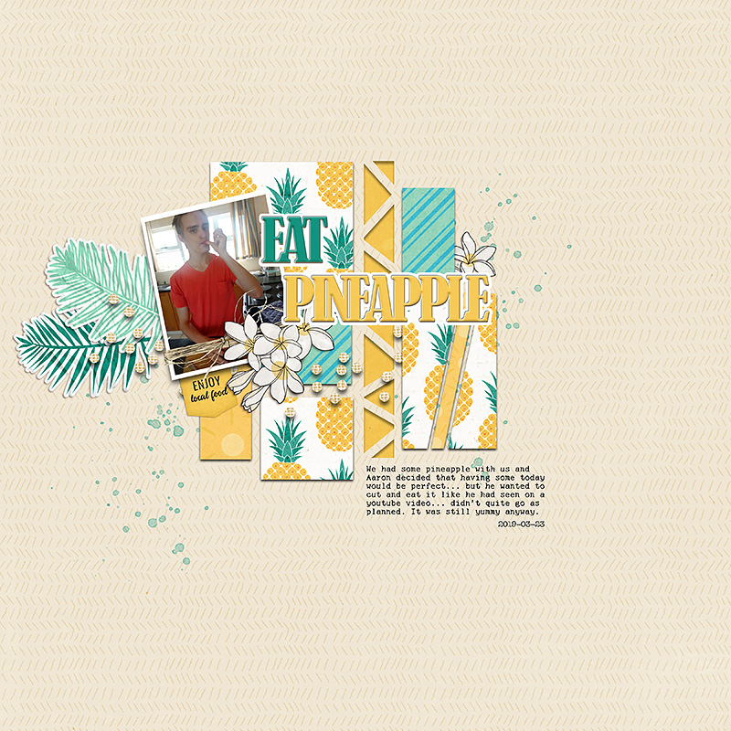 Nohea | Kit - Image 6
