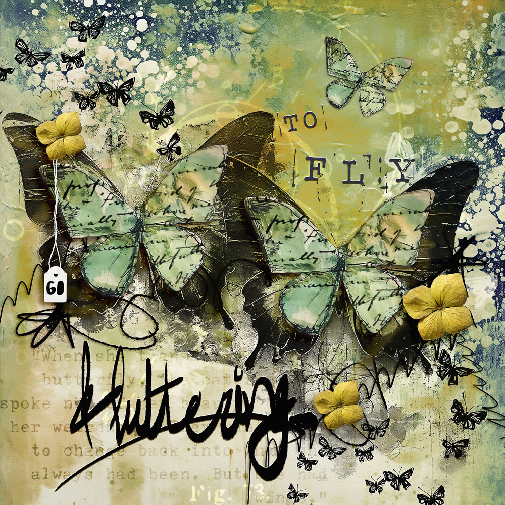 Metamorphosis solids - Image 2