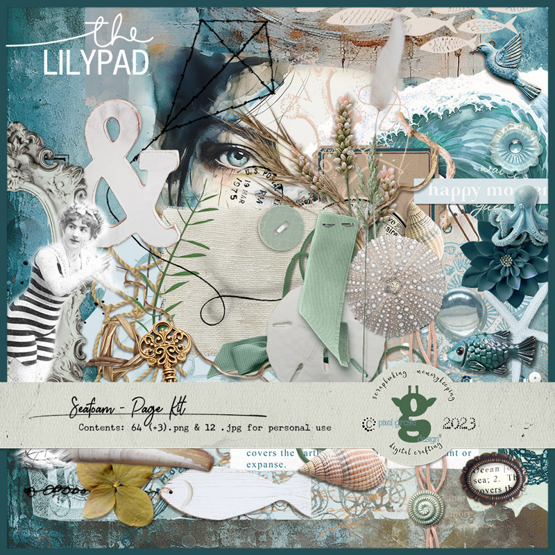 Seafoam kit