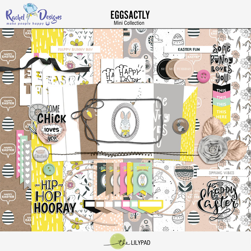 Eggsactly | Collection - Image 7