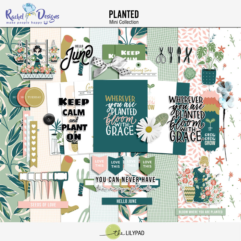 Planted | Collection - Image 3