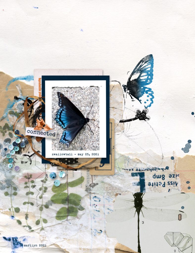 Stampalicious: Anisoptera Template Duo - Image 9