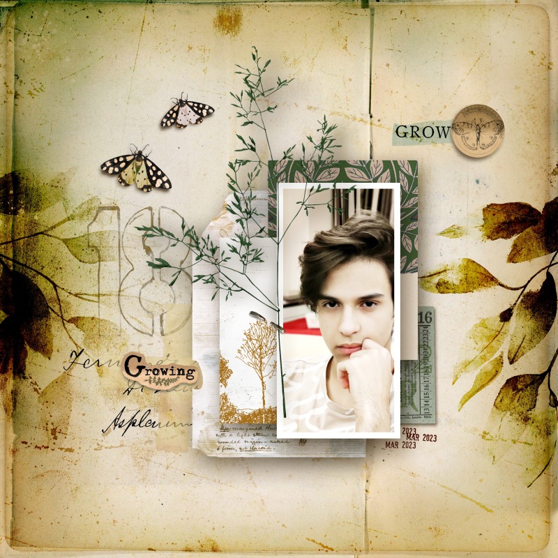 Hear My Voice: 11 - Growing | Mixed Media Digital Scrapbooking Paper Pack - Image 10