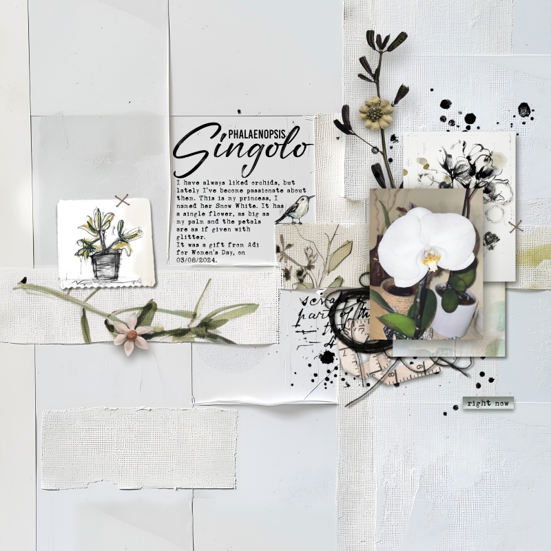 Tempus | Digital Scrapbooking Pocket Cards - Image 4