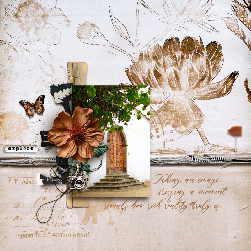 Monochrome Paperie - Image 4