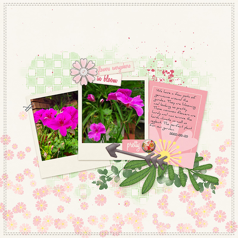 Sakura {Cherry Blossom} | Pocket Cards - Image 4